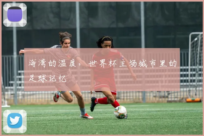 海湾的温度,世界杯主场城市里的足球记忆