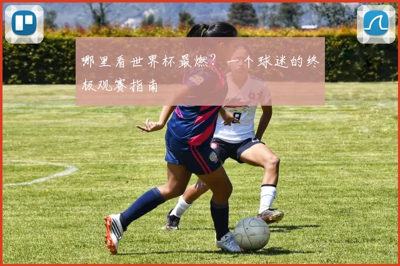 哪里看世界杯最燃?一个球迷的终极观赛指南